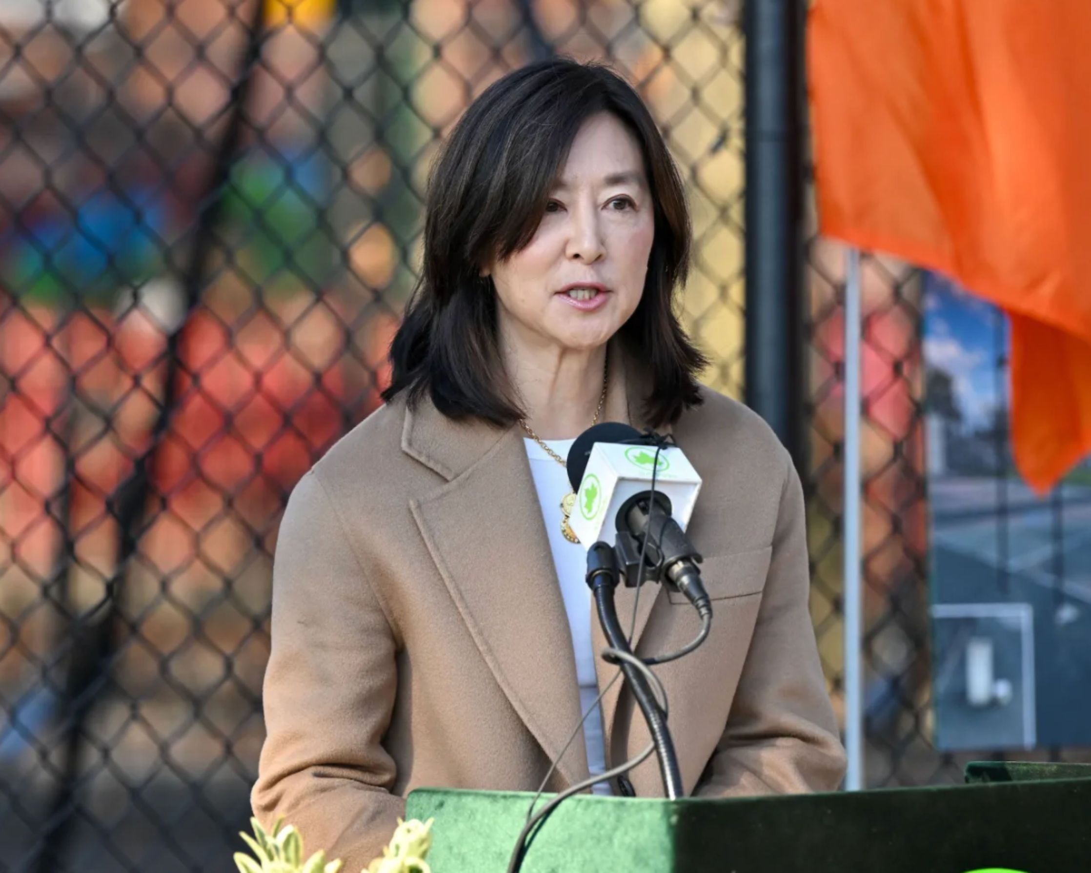 Breukelen Ballfields in ENY Renovation Clara Wu Tsai speaks at the unveiling 