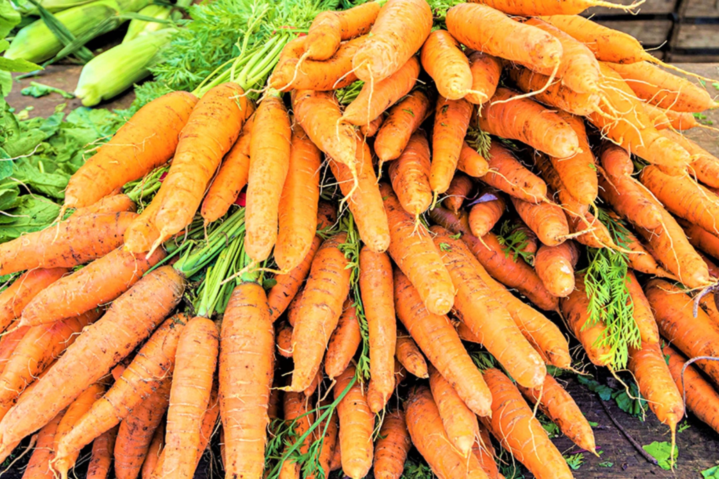 NYC Health + Hospitals Announce Farmers Markets Near Patient Care Sites