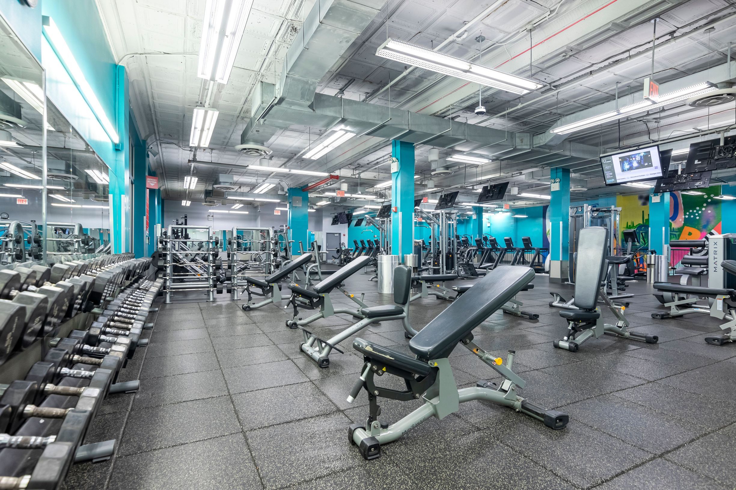 PureGym Interior Weight Room.jpg